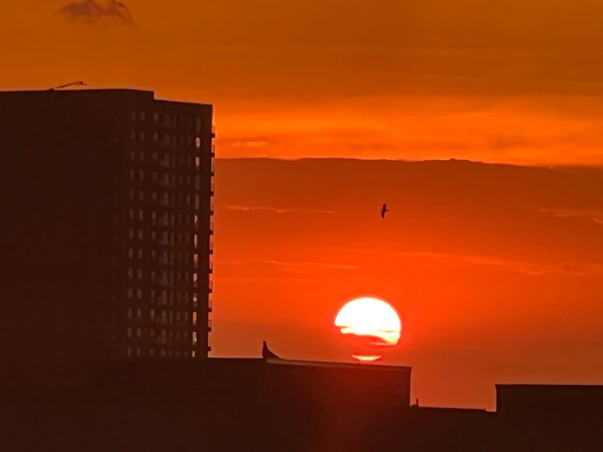 Foto van de Kamer gelegen aan de Ter Heijdestraat in Den Haag