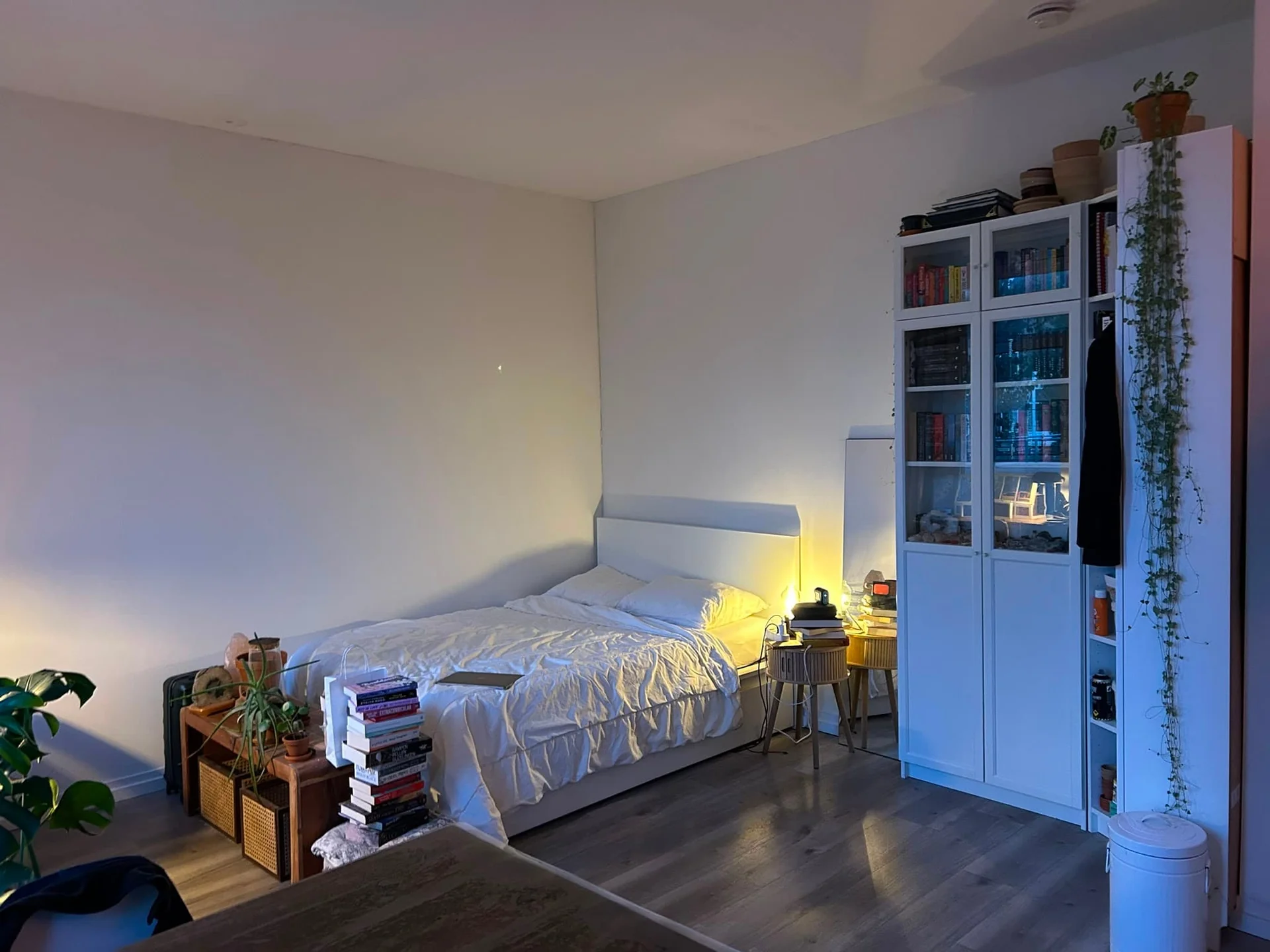 Foto van de Kamer gelegen aan de Weteringkade in Den Haag