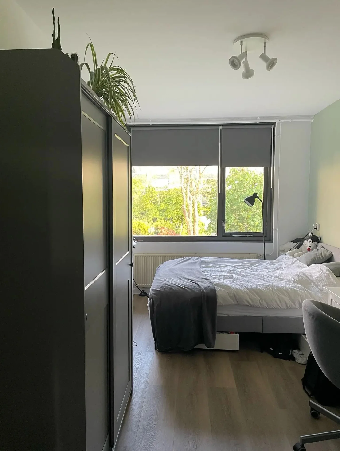 Foto van de Kamer gelegen aan de Texel in Utrecht