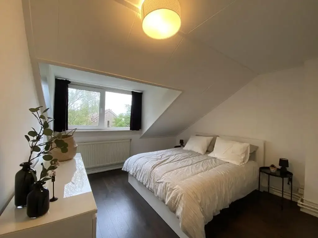 geblurde versie van de foto als achtergrond