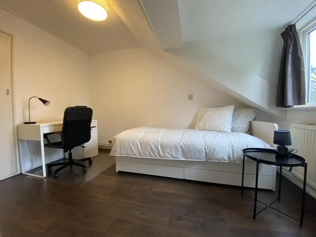 geblurde versie van de foto als achtergrond