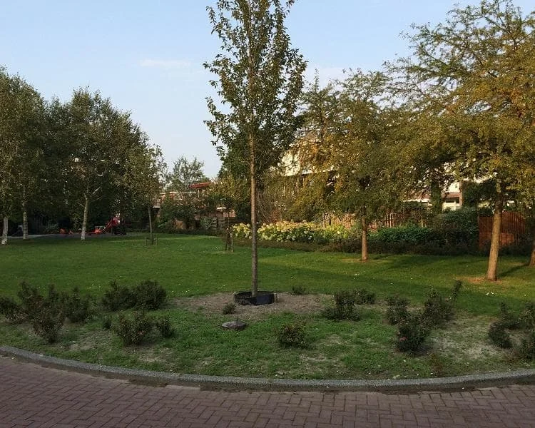 Foto van de Studio gelegen aan de Johannes de Bekahof in Amsterdam