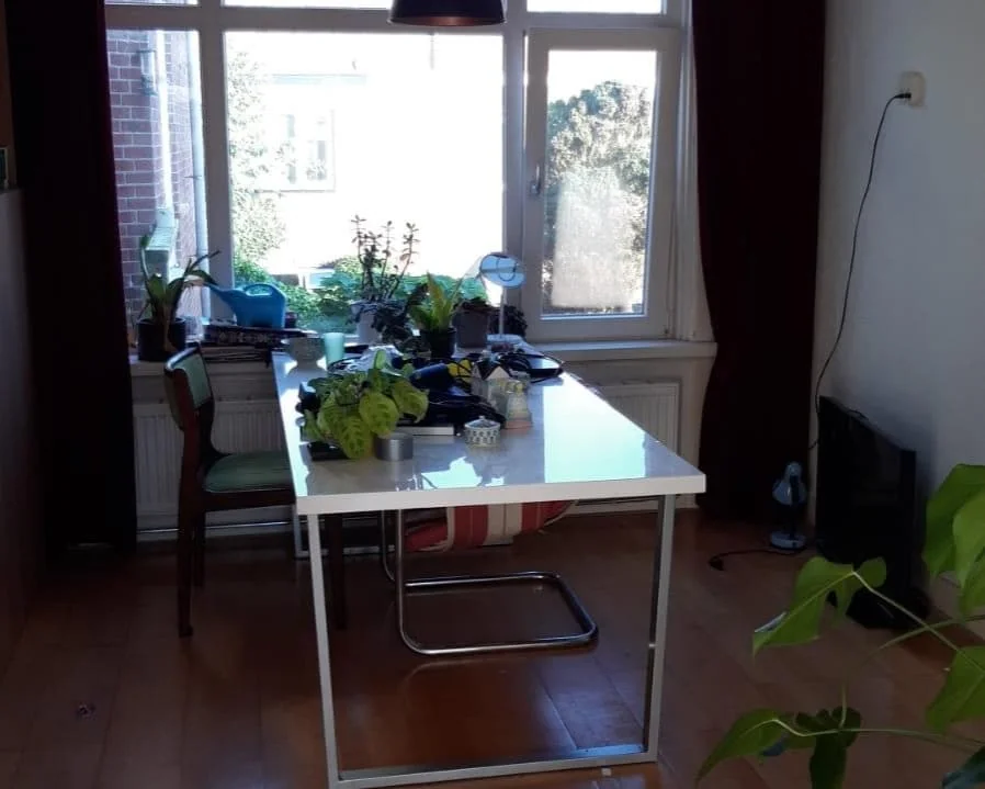 geblurde versie van de foto als achtergrond