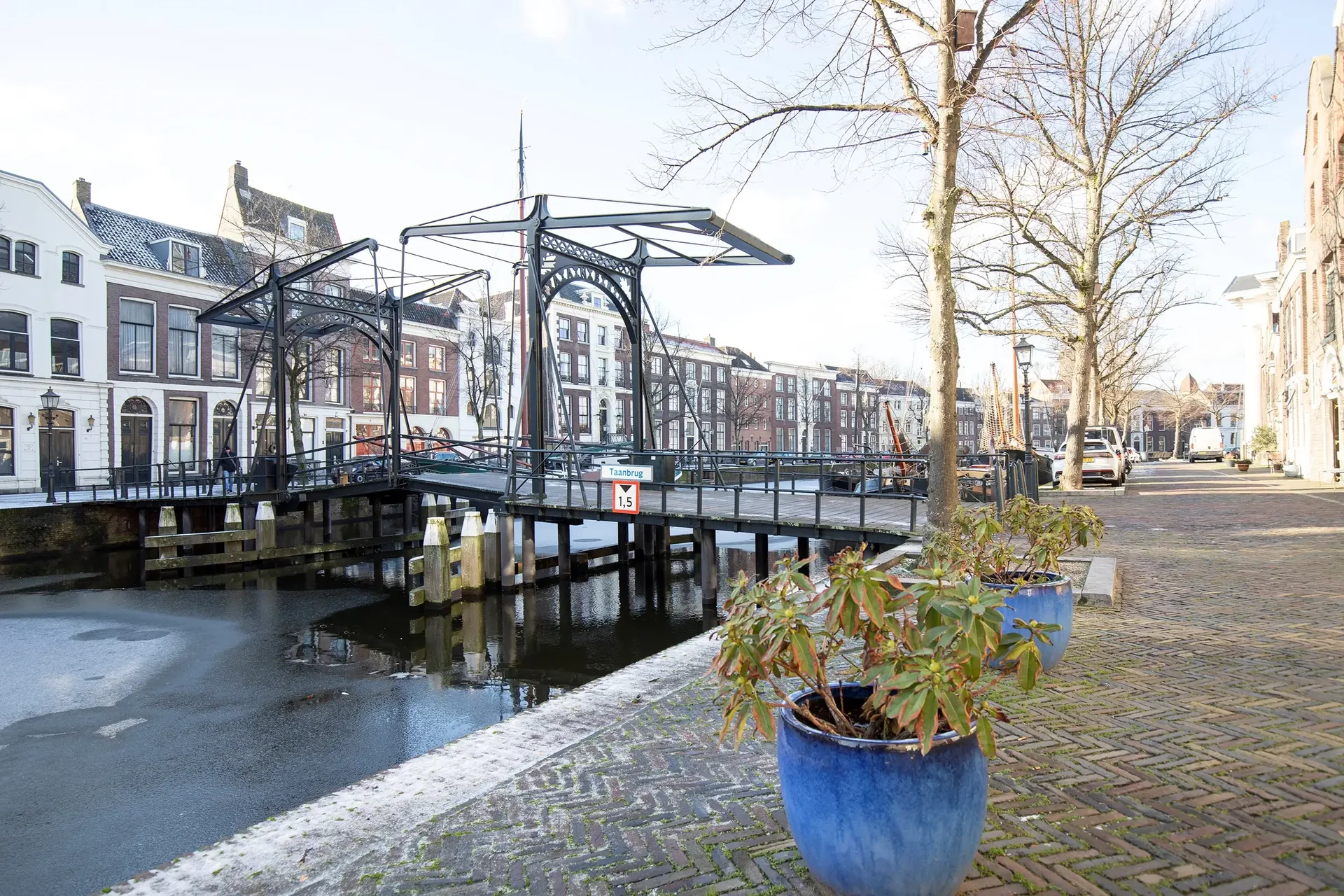 geblurde versie van de foto als achtergrond