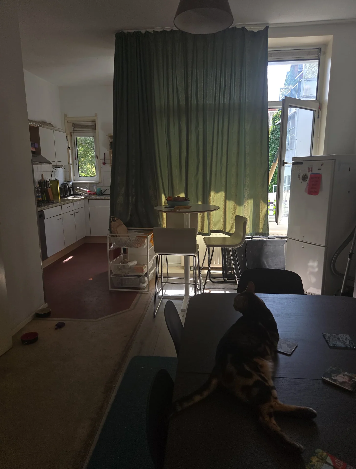 geblurde versie van de foto als achtergrond