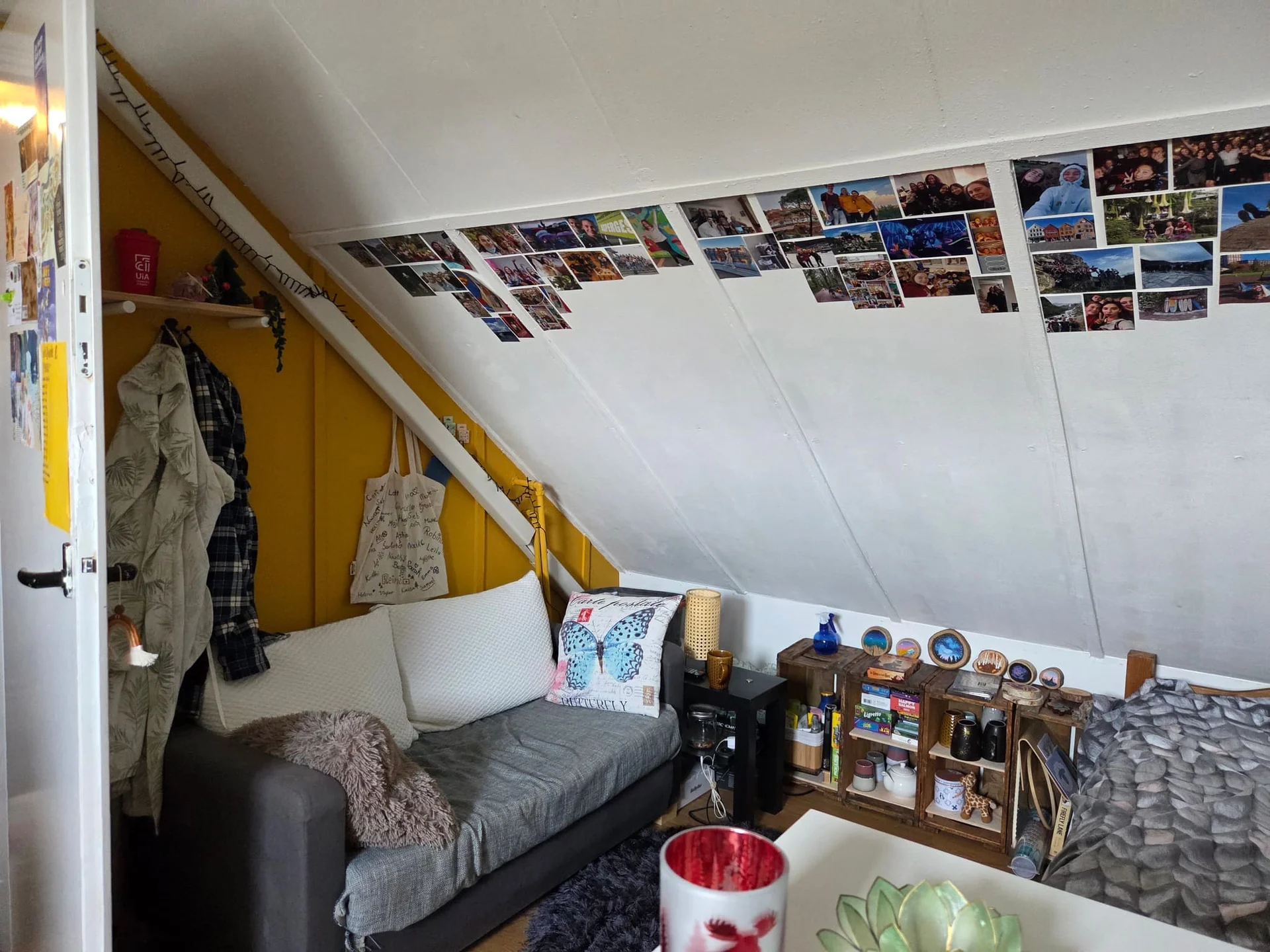 geblurde versie van de foto als achtergrond