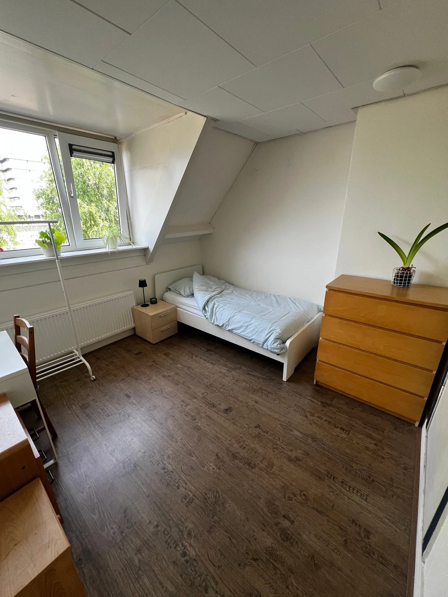 Foto van de Kamer gelegen aan de Asselijnstraat in Utrecht