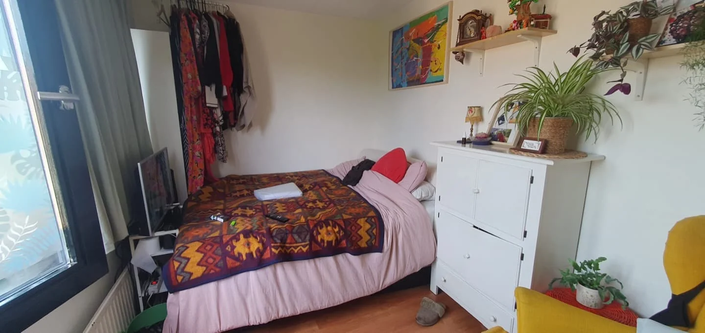geblurde versie van de foto als achtergrond