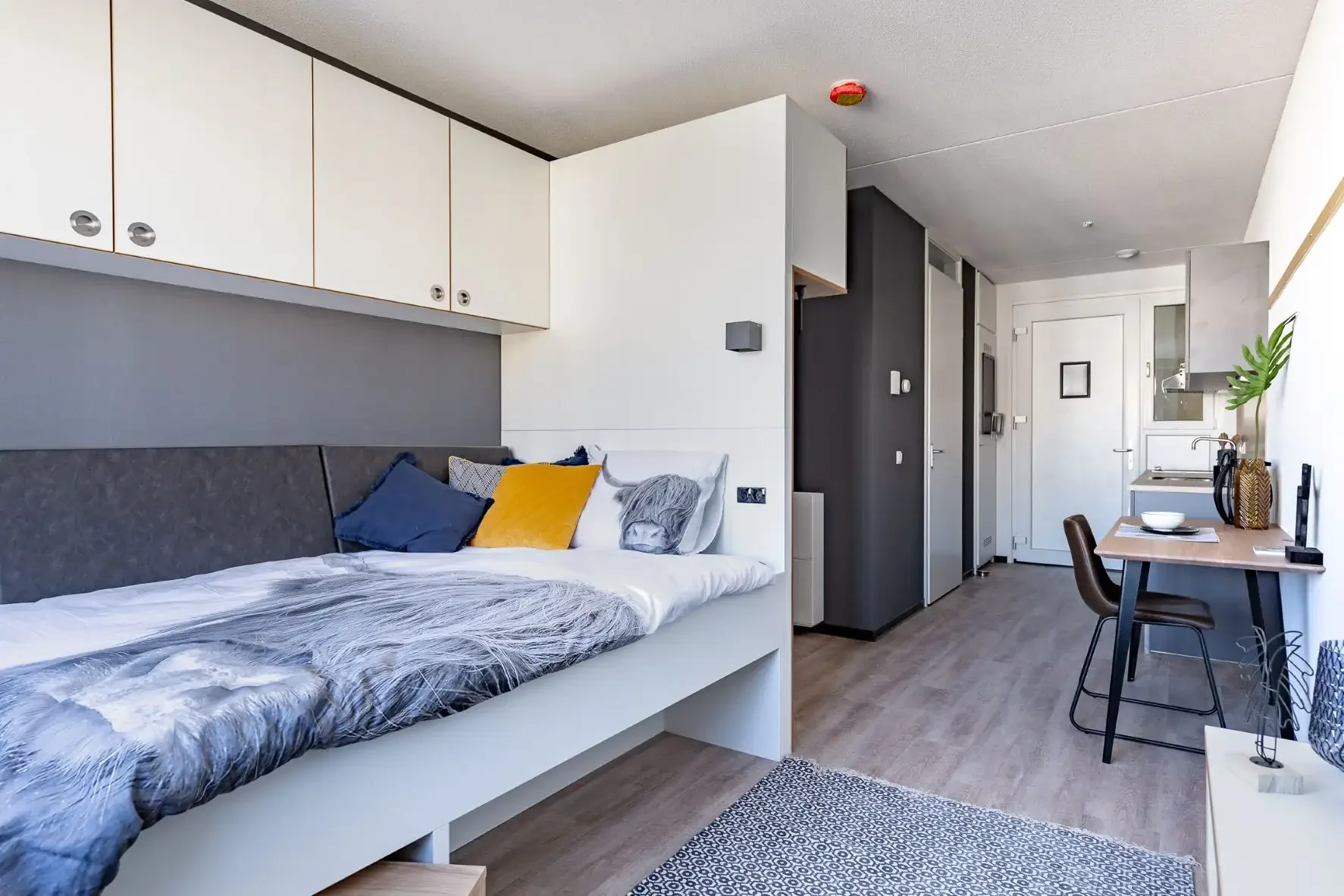 Foto van de Appartement gelegen aan de Reykjavikstraat in Utrecht