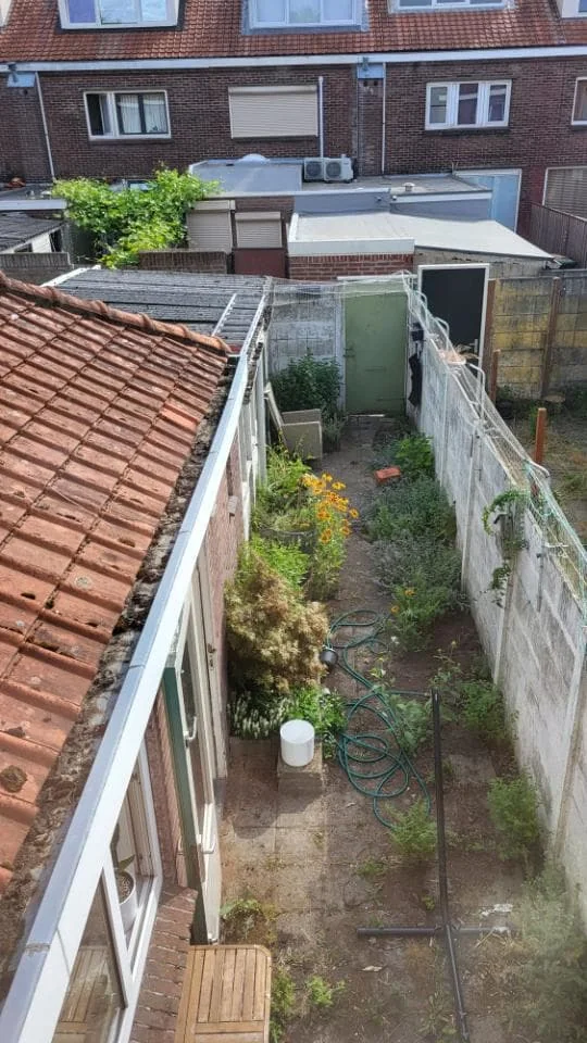 geblurde versie van de foto als achtergrond