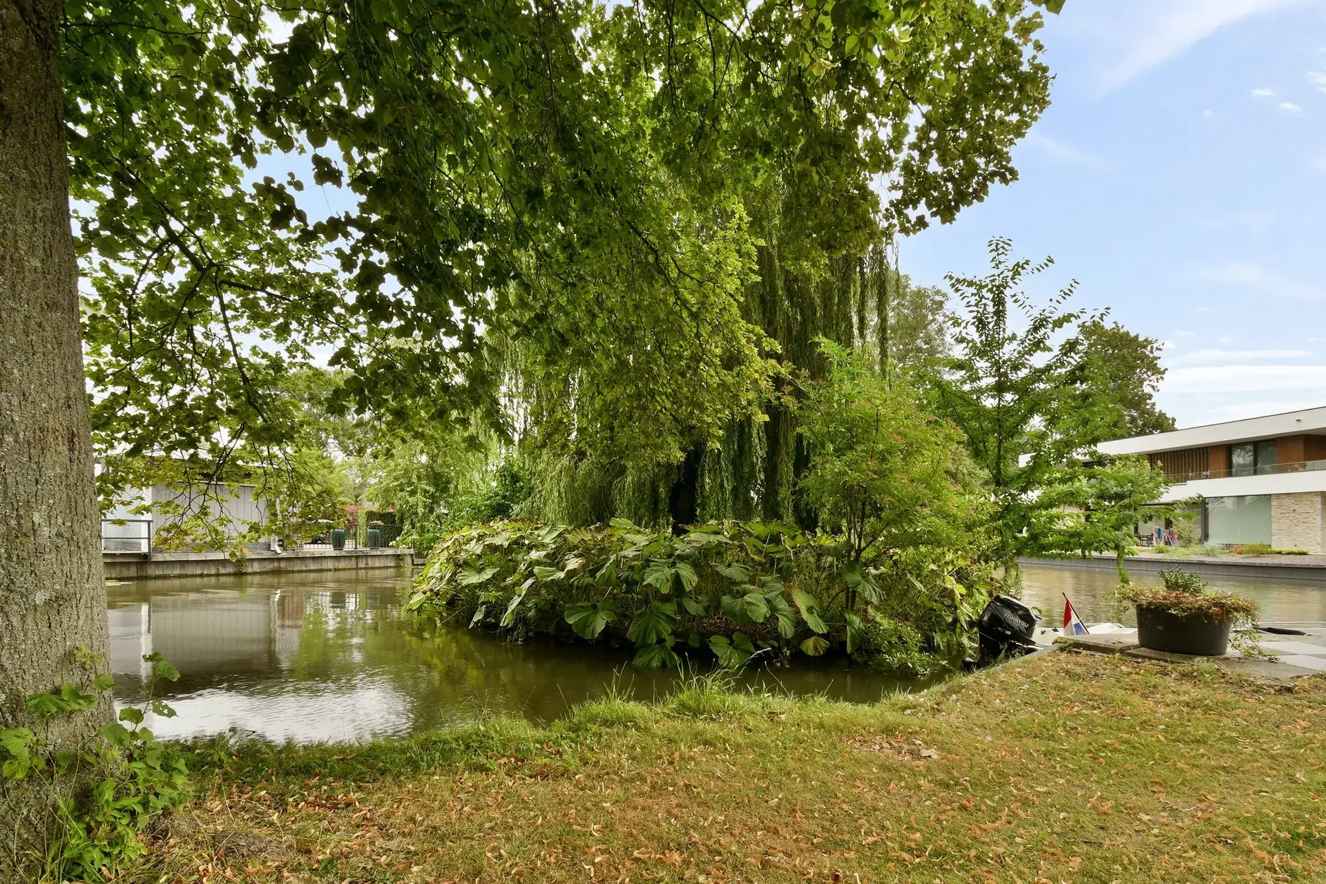 geblurde versie van de foto als achtergrond