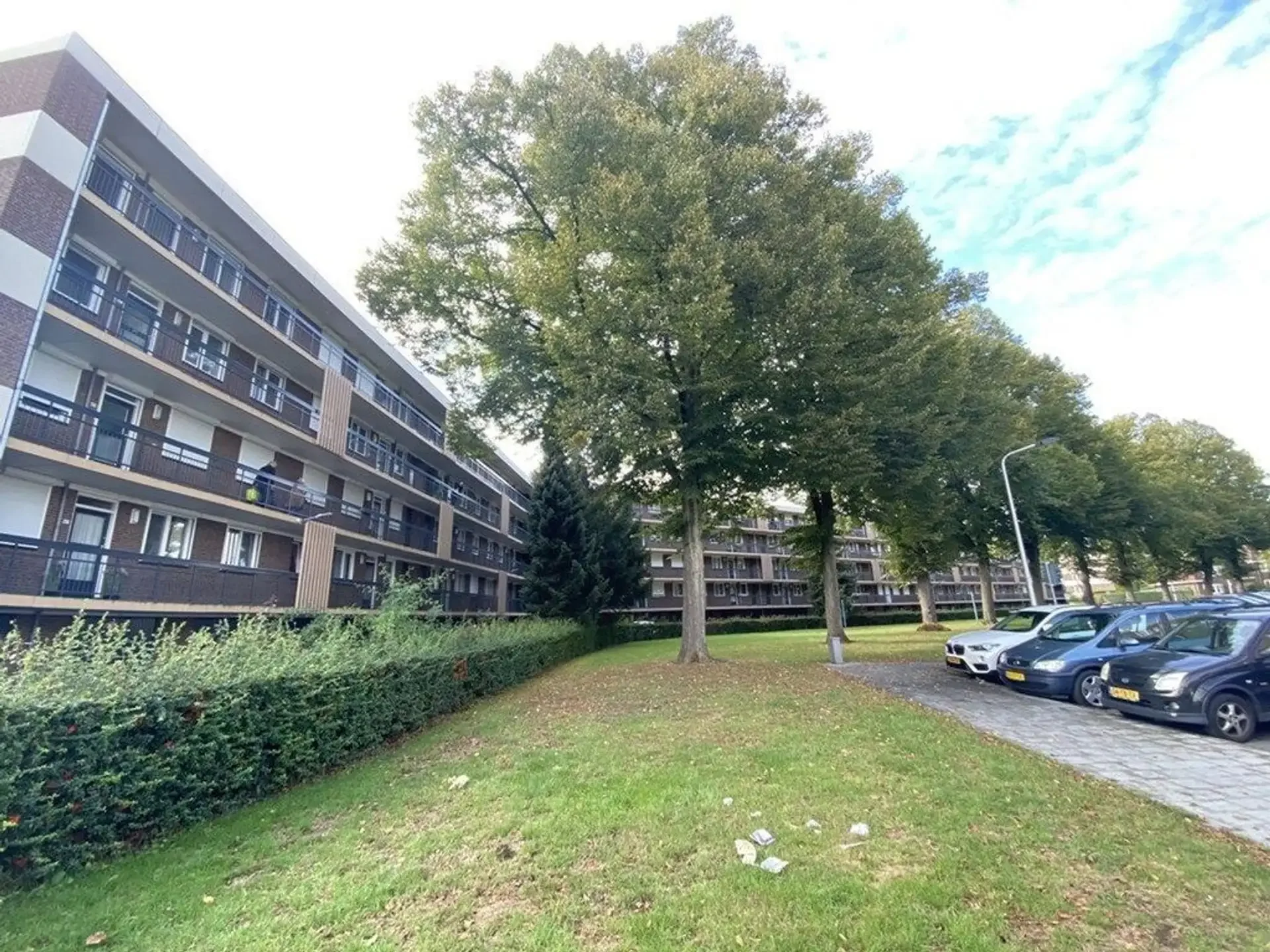 geblurde versie van de foto als achtergrond