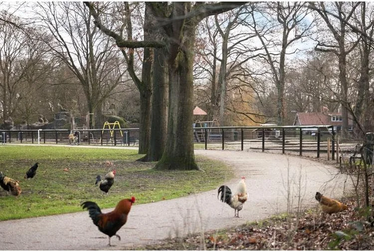 Foto van de Appartement gelegen aan de Johannes Uitenbogaertstraat in Utrecht