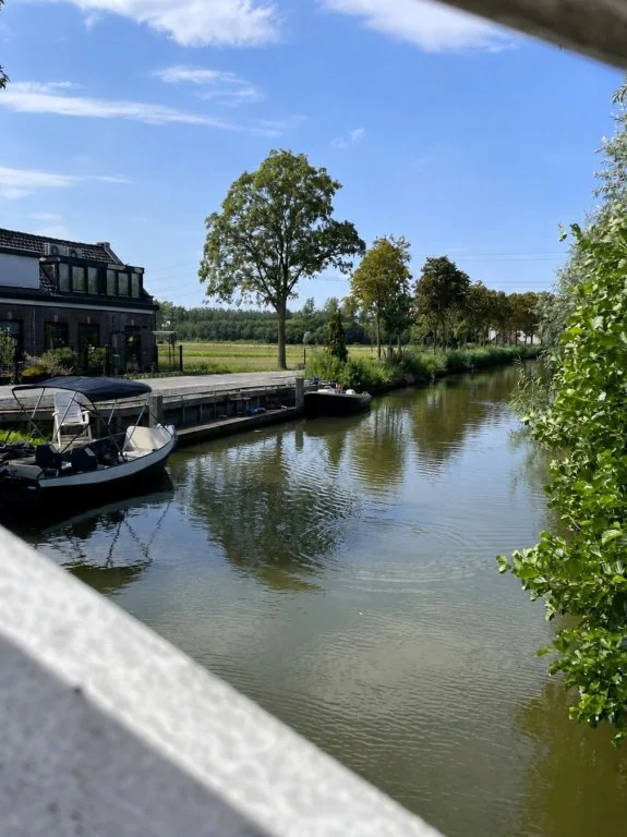 geblurde versie van de foto als achtergrond