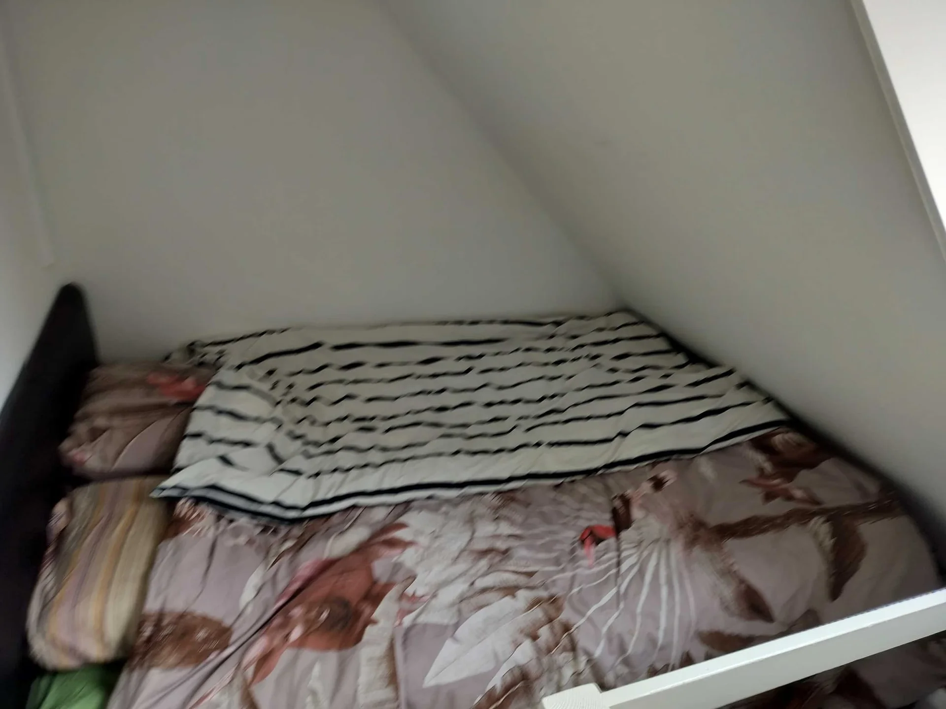 Foto van de Kamer gelegen aan de Heyendaalseweg in Nijmegen
