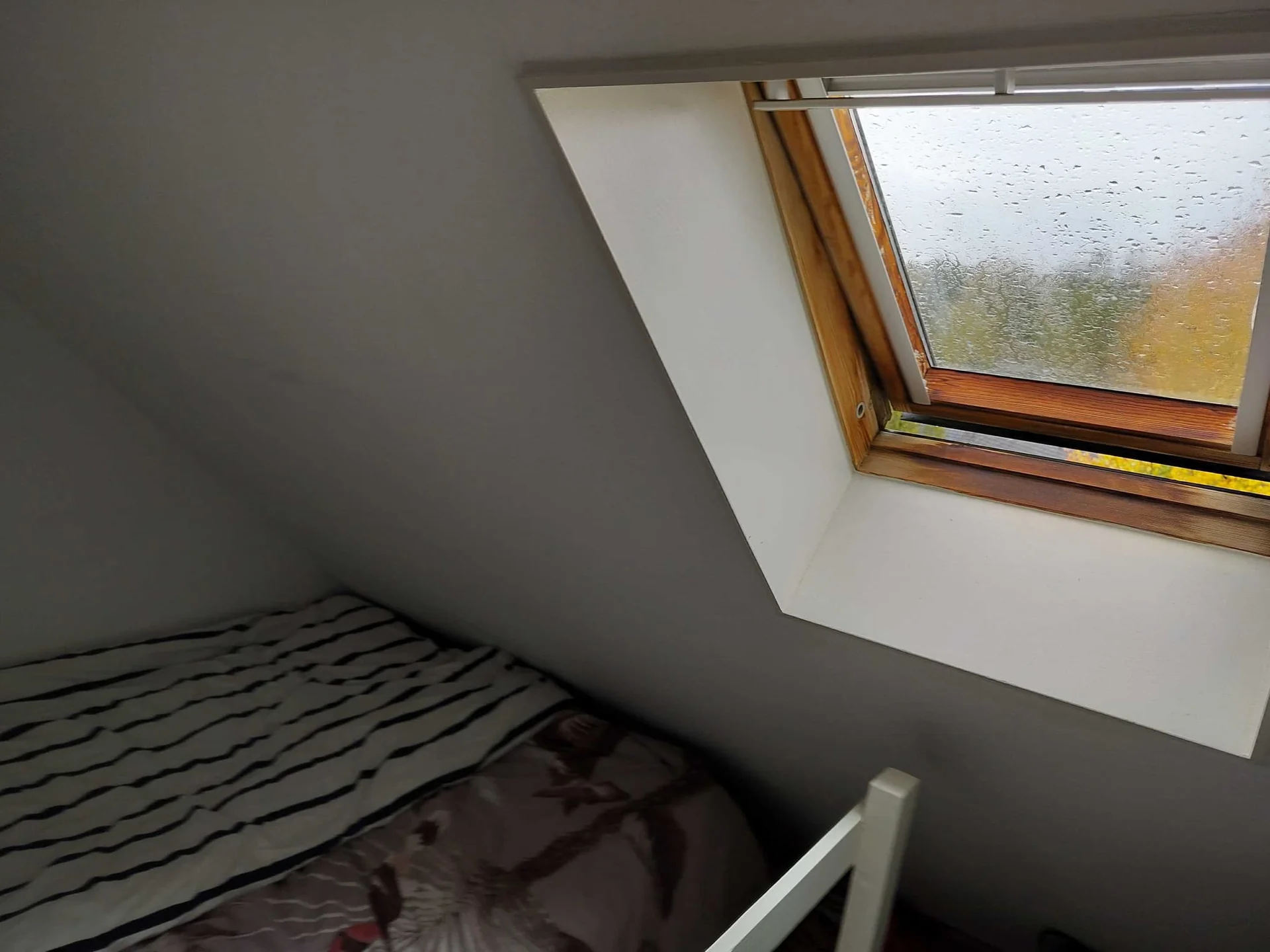 Foto van de Kamer gelegen aan de Heyendaalseweg in Nijmegen