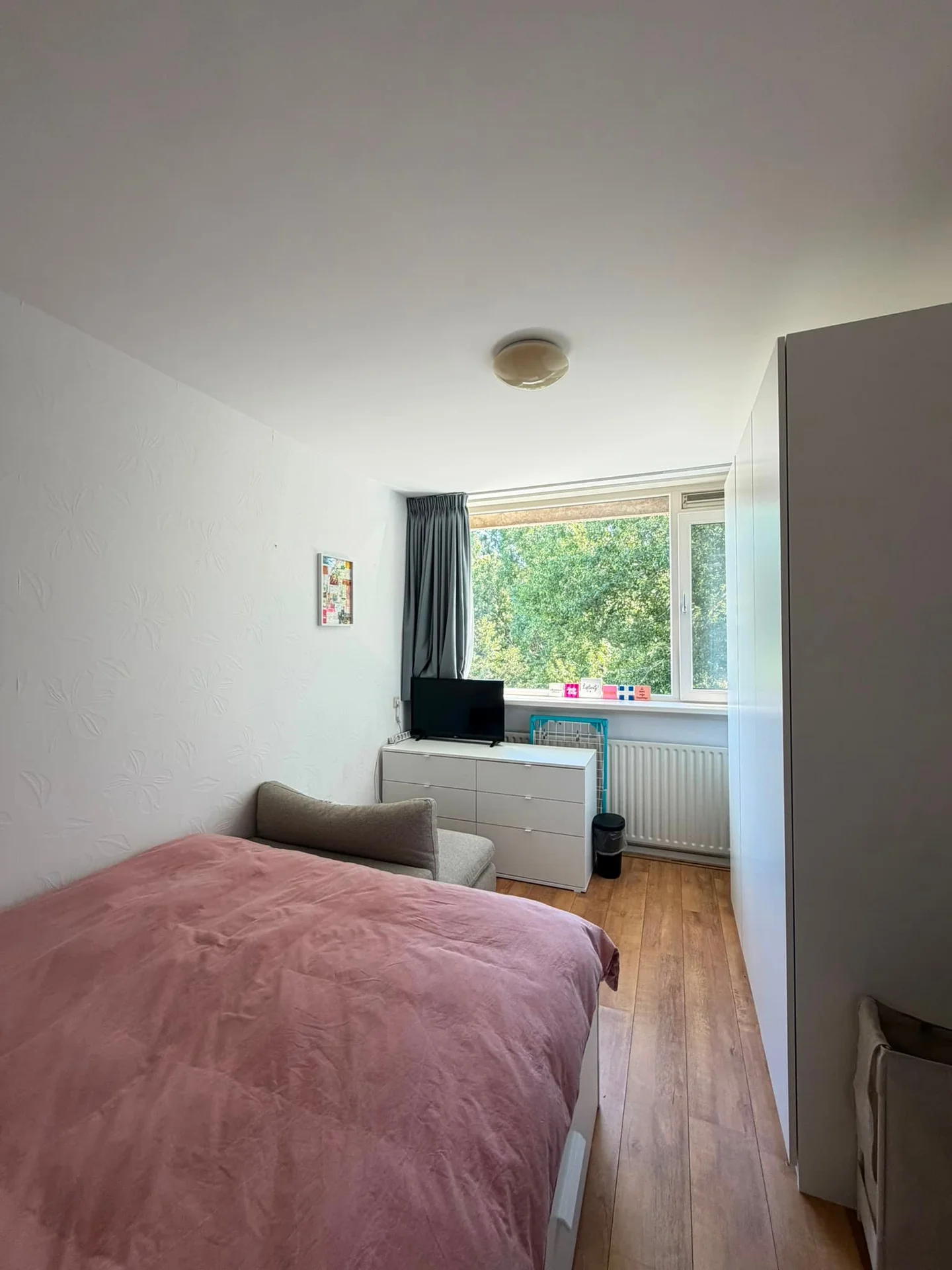 Foto van de Kamer gelegen aan de Trekvogelweg in Amersfoort