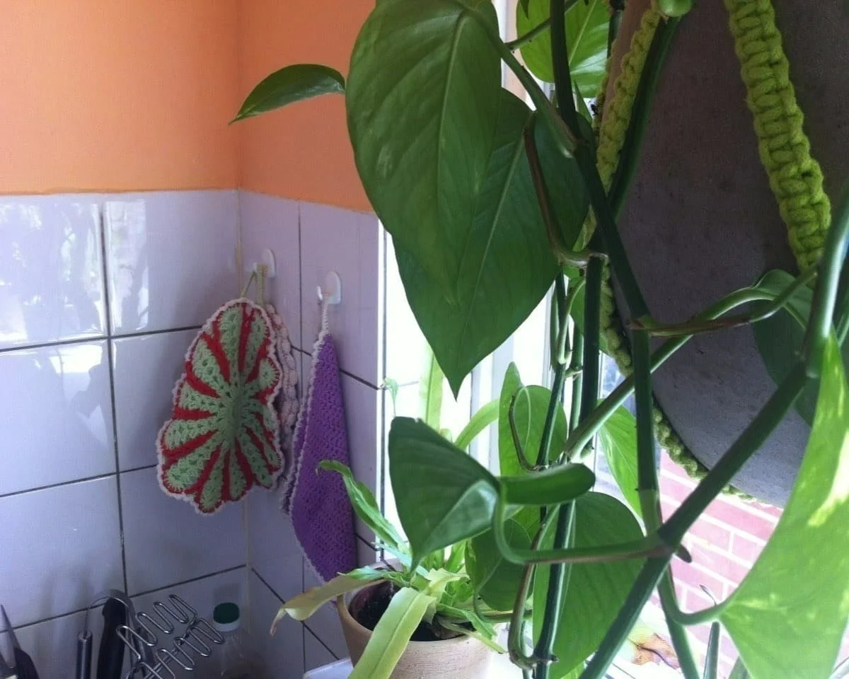 Foto van de Appartement gelegen aan de Ooievaarhof in Utrecht