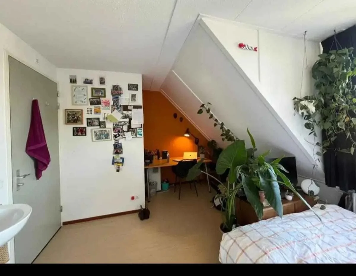 Foto van de Kamer gelegen aan de Oude Bennekomseweg in Wageningen