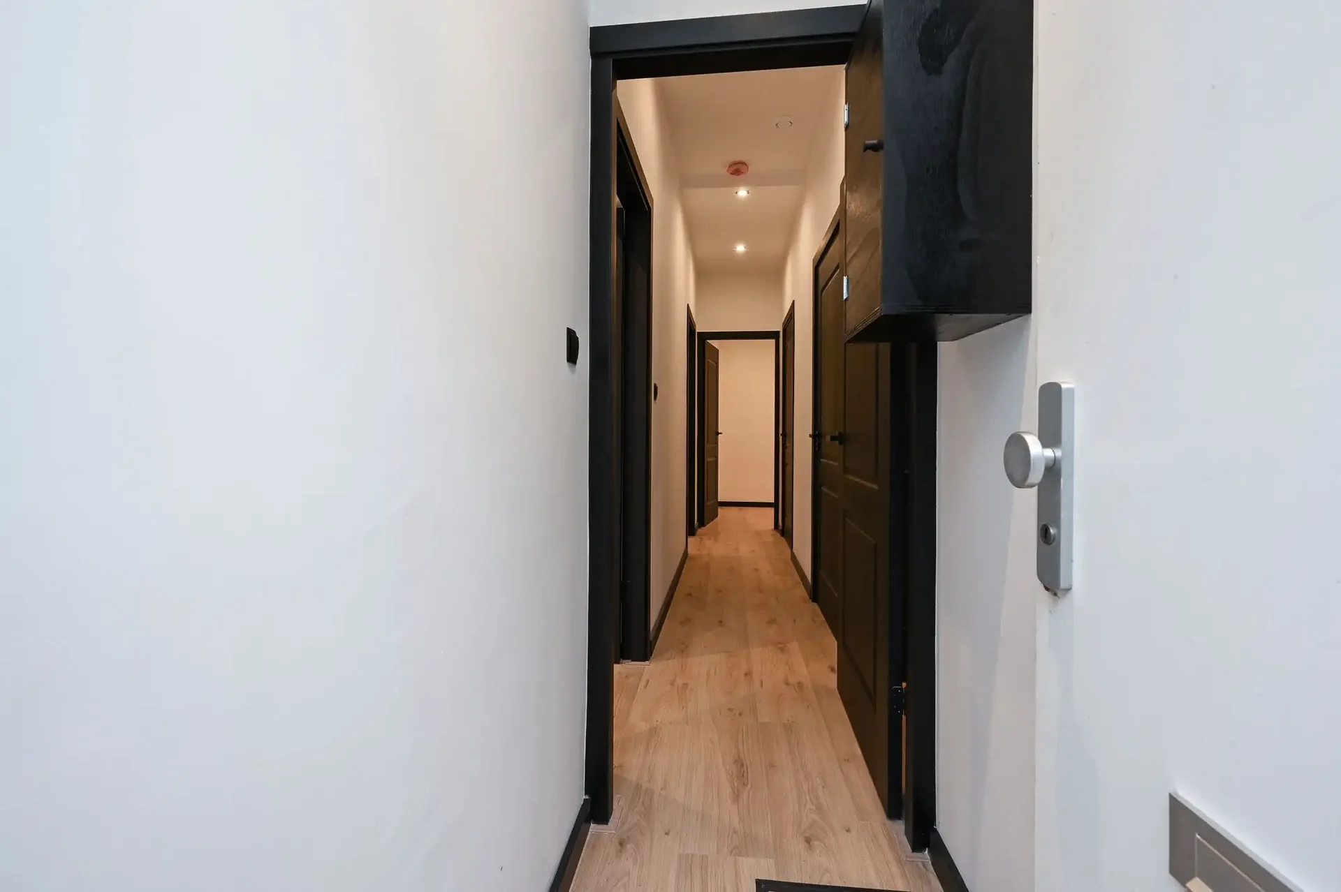 Foto van de Appartement gelegen aan de Repelaerstraat in Den Haag