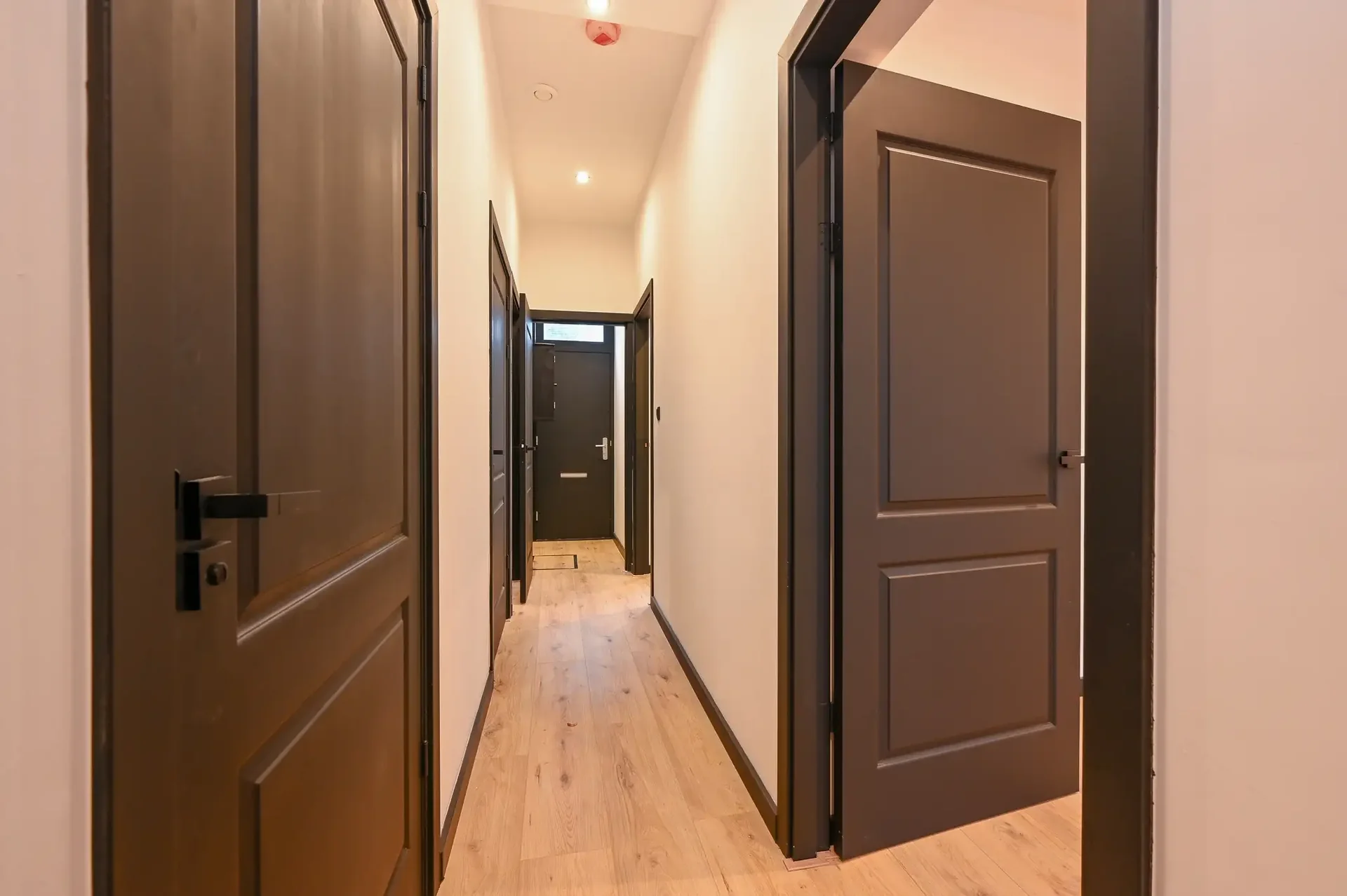 Foto van de Appartement gelegen aan de Repelaerstraat in Den Haag