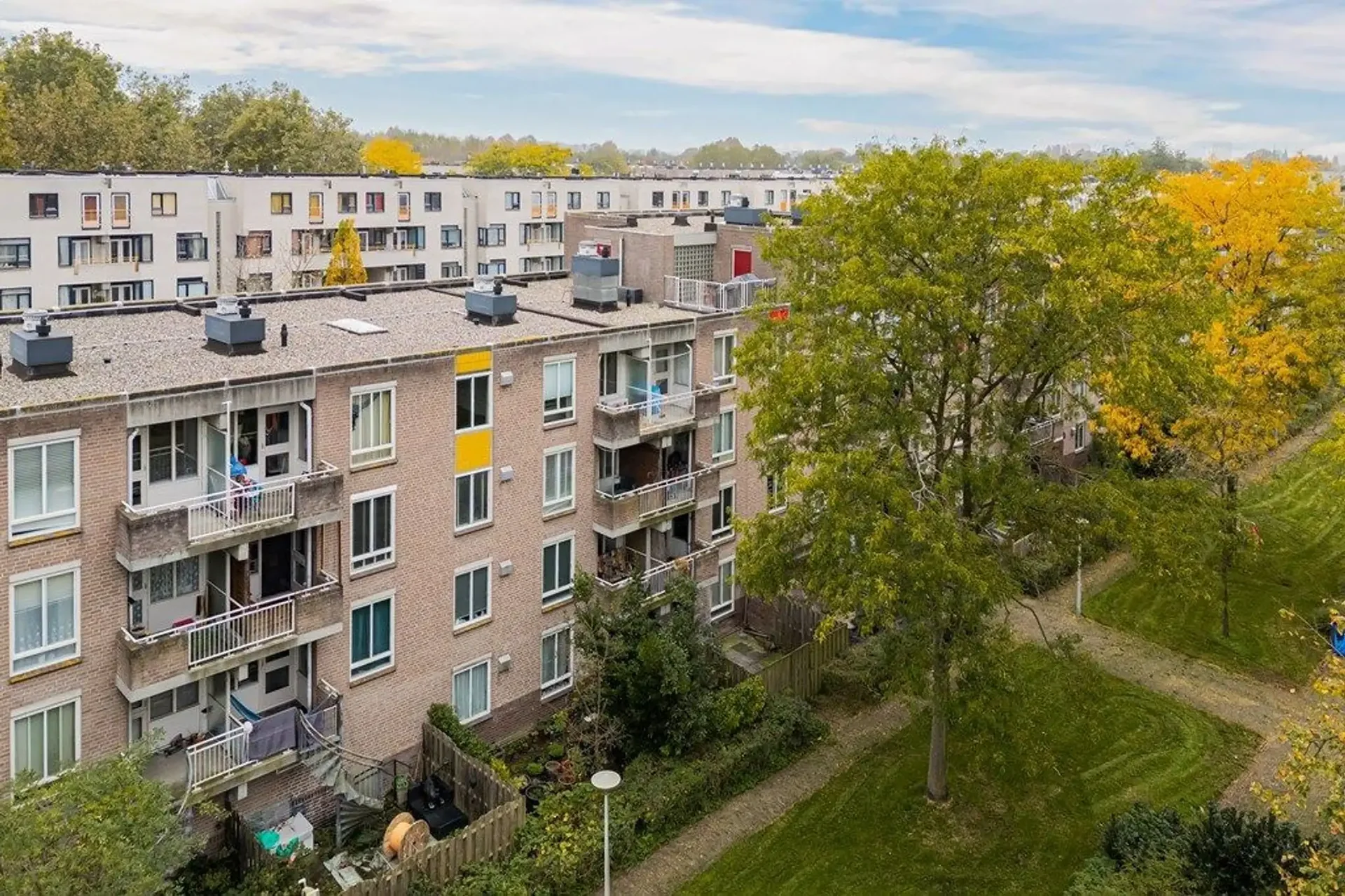 geblurde versie van de foto als achtergrond