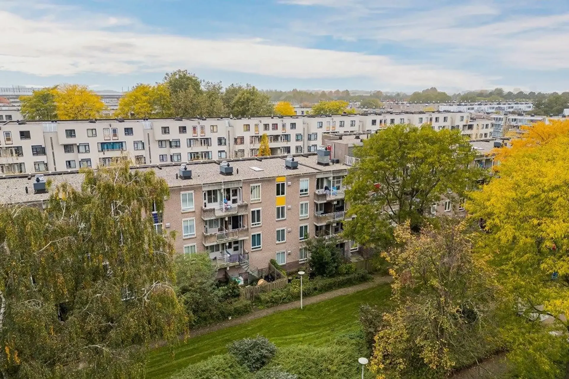 geblurde versie van de foto als achtergrond