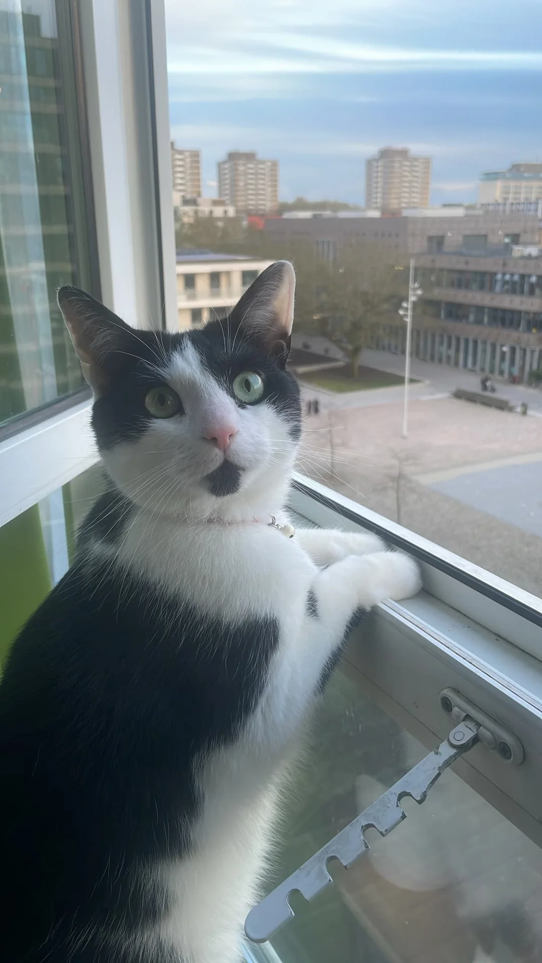 Foto van de Kamer gelegen aan de Postjesweg in Amsterdam
