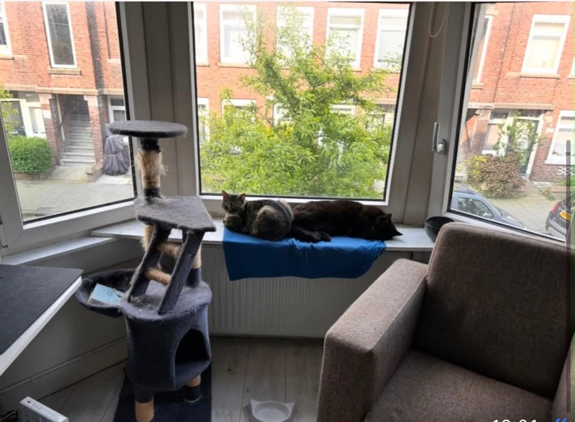 Foto van de Kamer gelegen aan de Cornelis van der Lijnstraat in Den Haag