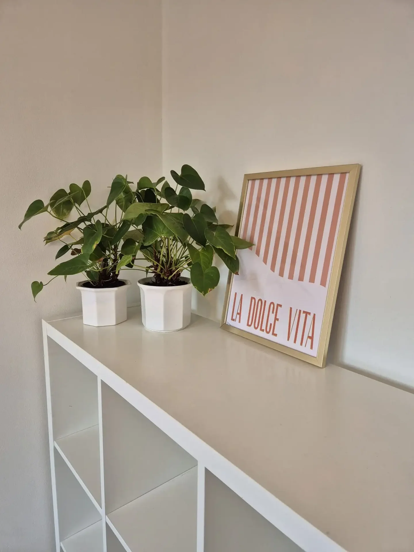 Foto van de Appartement gelegen aan de Zeelsterstraat in Eindhoven