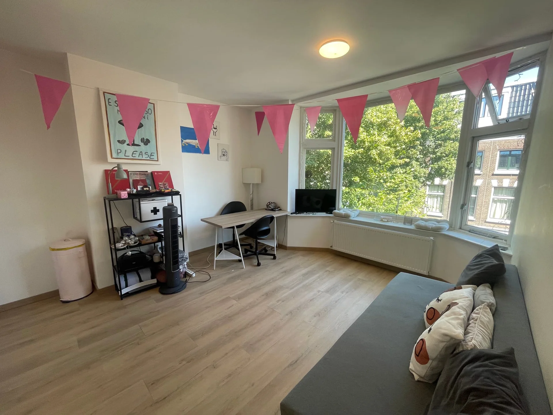 Foto van de Kamer gelegen aan de Westersingel in Groningen