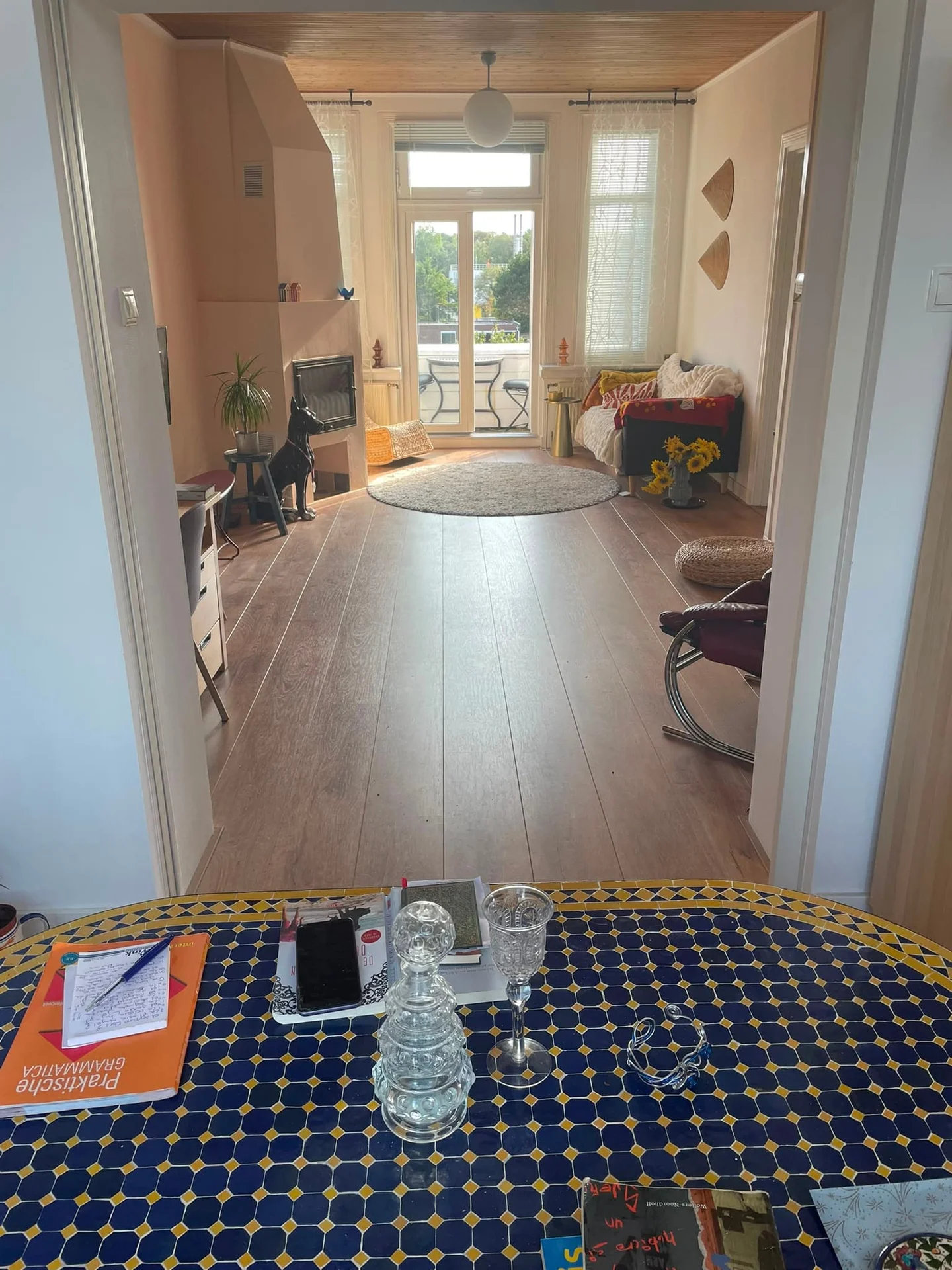 Foto van de Appartement gelegen aan de Sonoystraat in Den Haag