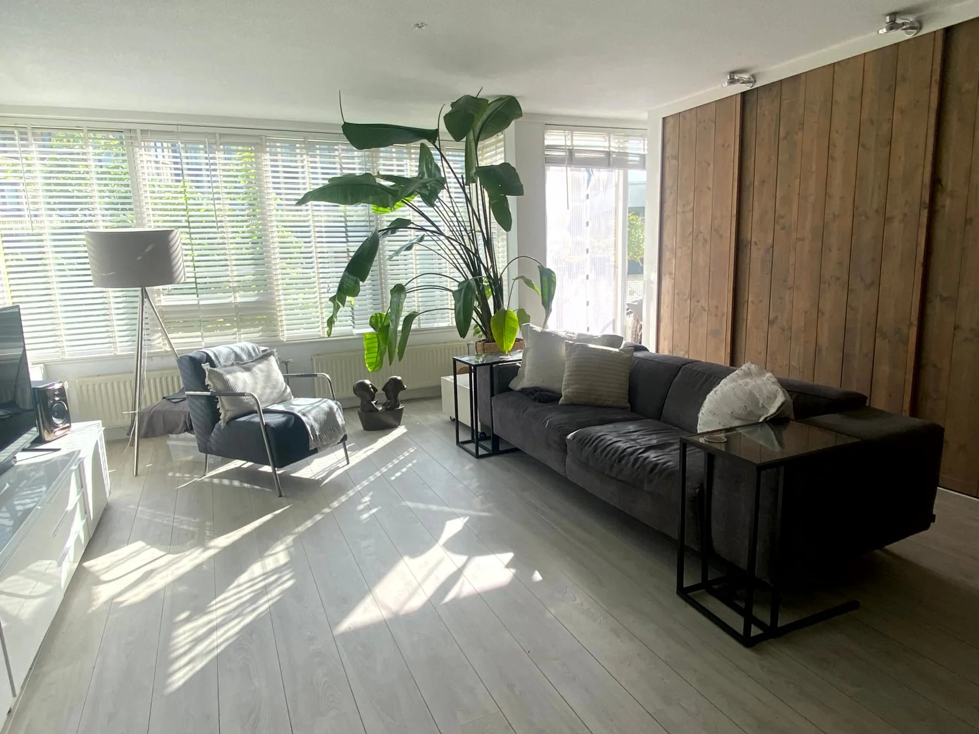 Foto van de Kamer gelegen aan de Bart de Ligtstraat in Amsterdam