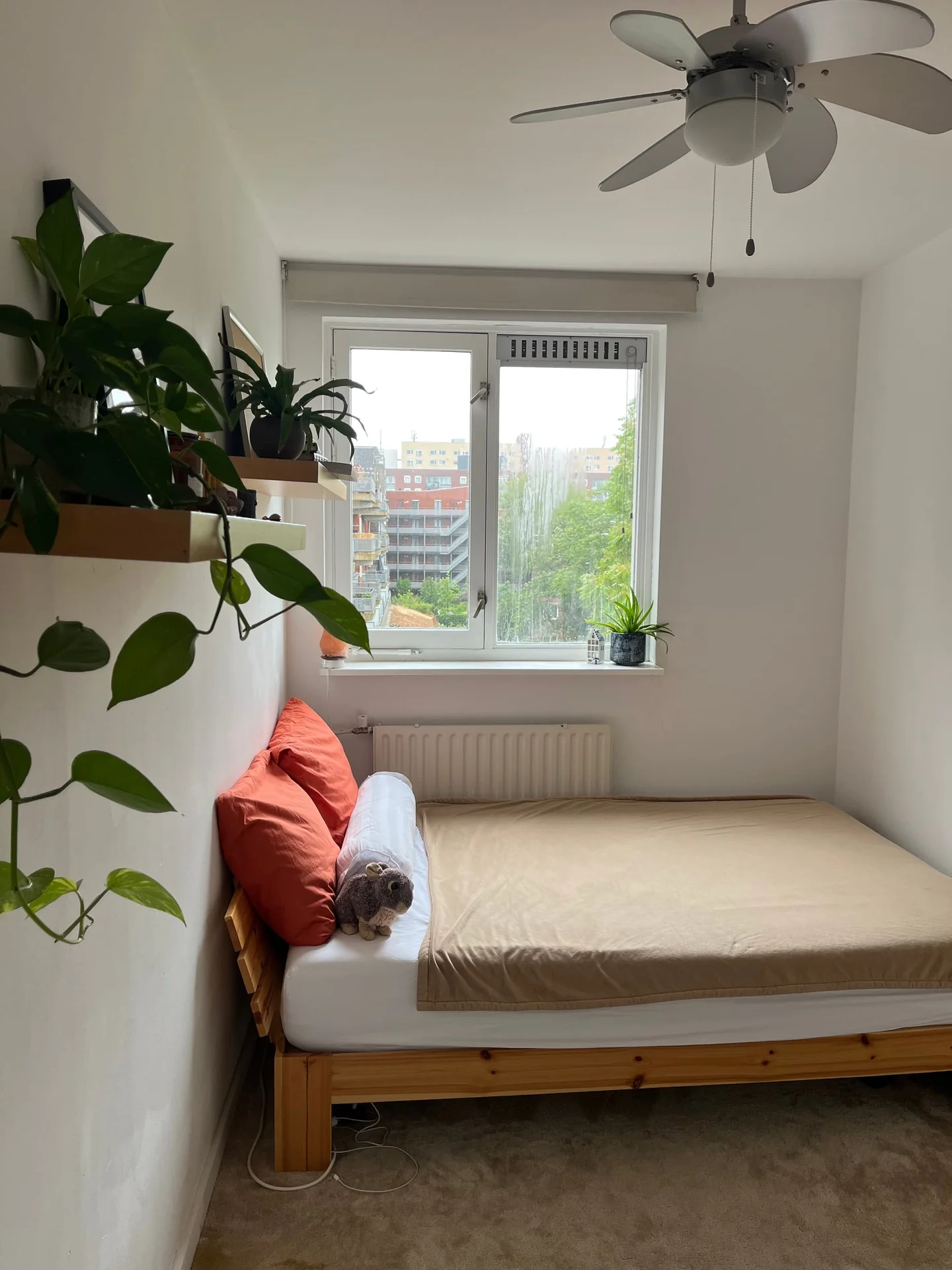 Foto van de Kamer gelegen aan de Gorontalostraat in Amsterdam