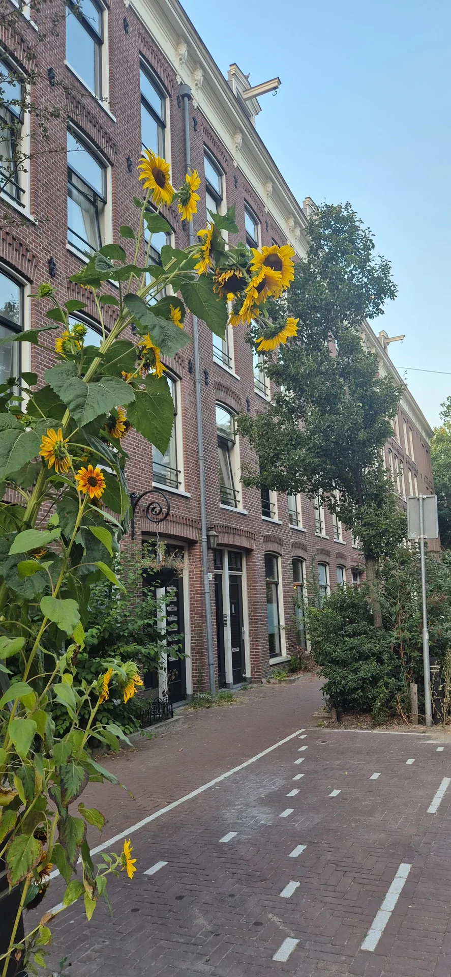 Foto van de Kamer gelegen aan de Frans Halsstraat in Amsterdam