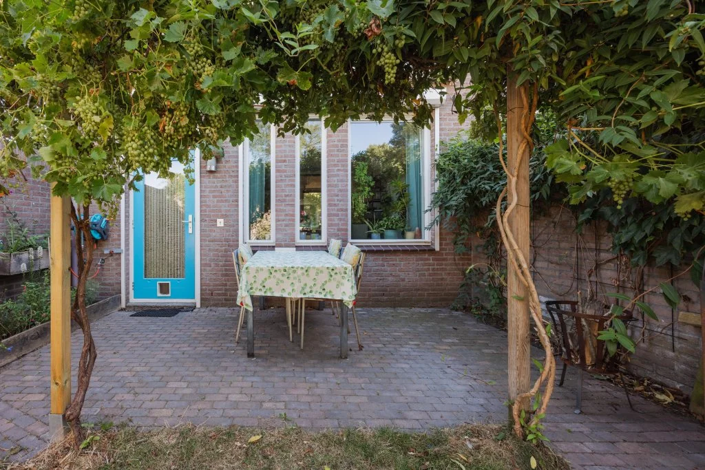geblurde versie van de foto als achtergrond