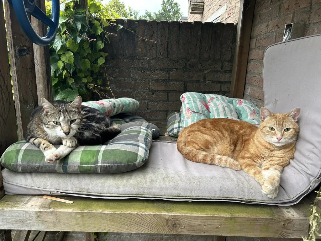 Foto van de Appartement gelegen aan de Aagje Dekenpad in Goirle
