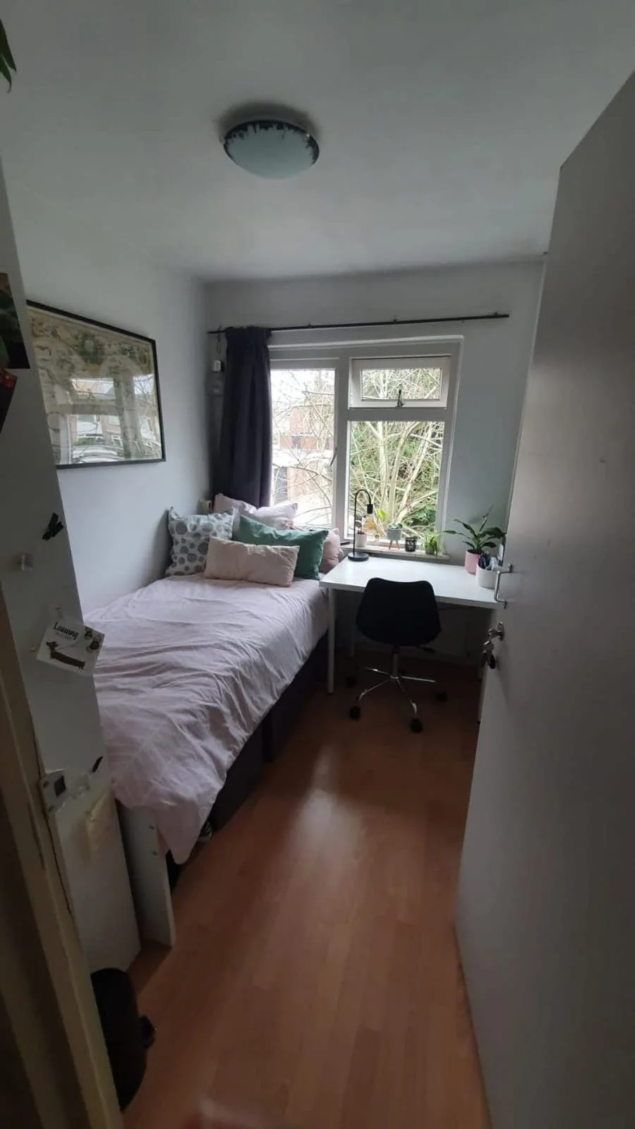 geblurde versie van de foto als achtergrond