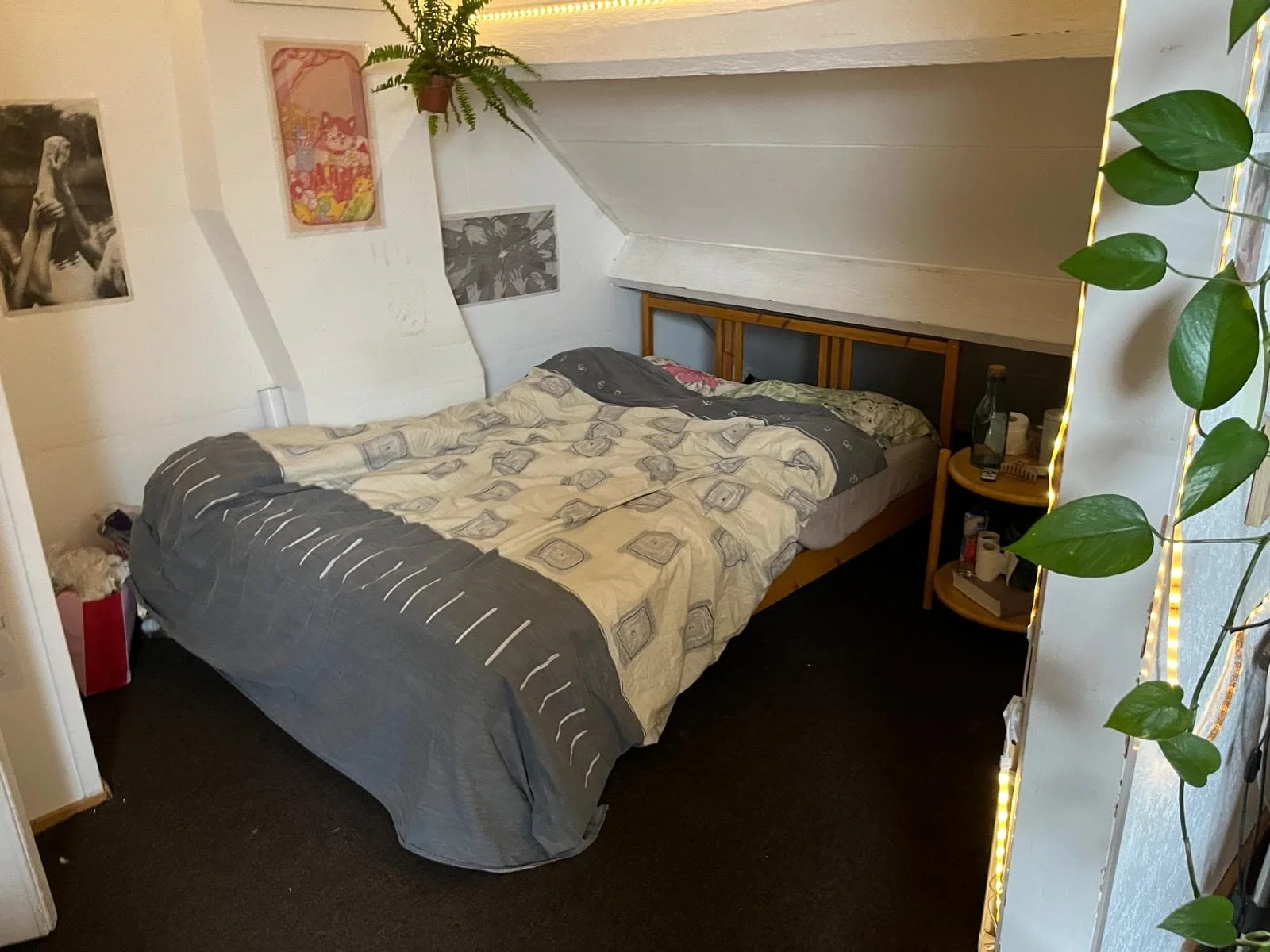 Foto van de Kamer gelegen aan de Brusselseweg in Maastricht
