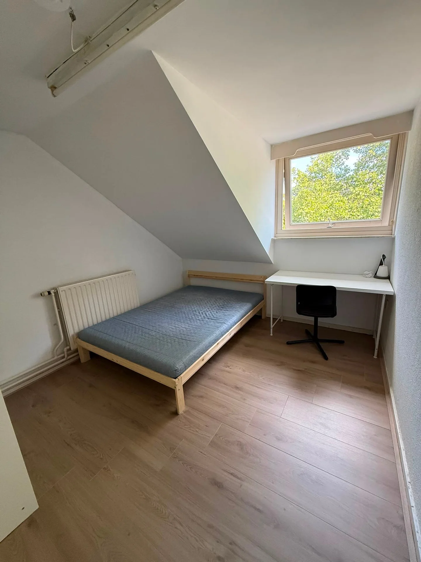 Foto van de Kamer gelegen aan de Laarstraat in Tilburg