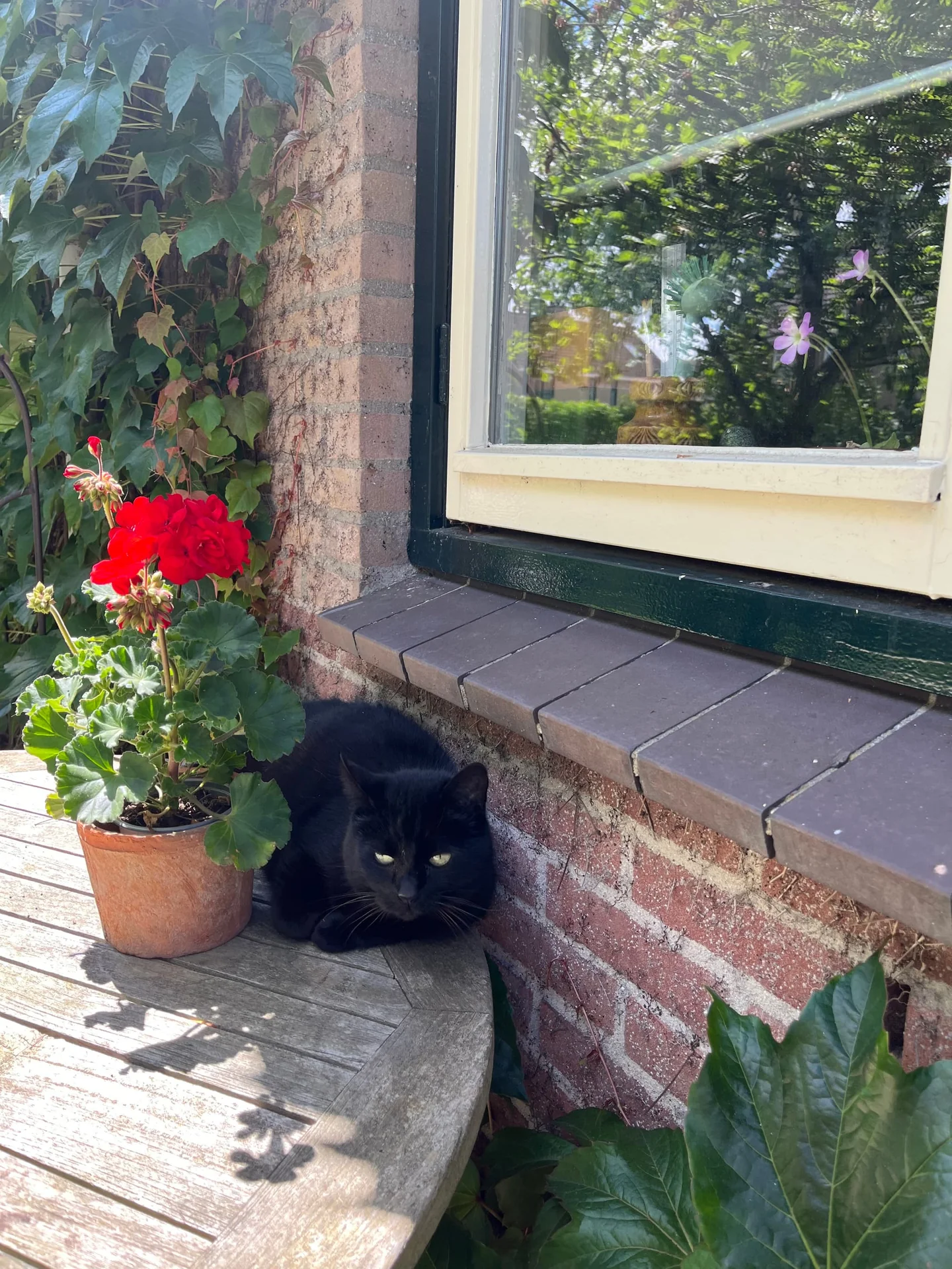 Foto van de Kamer gelegen aan de Martinus Nijhofflaan in Oegstgeest
