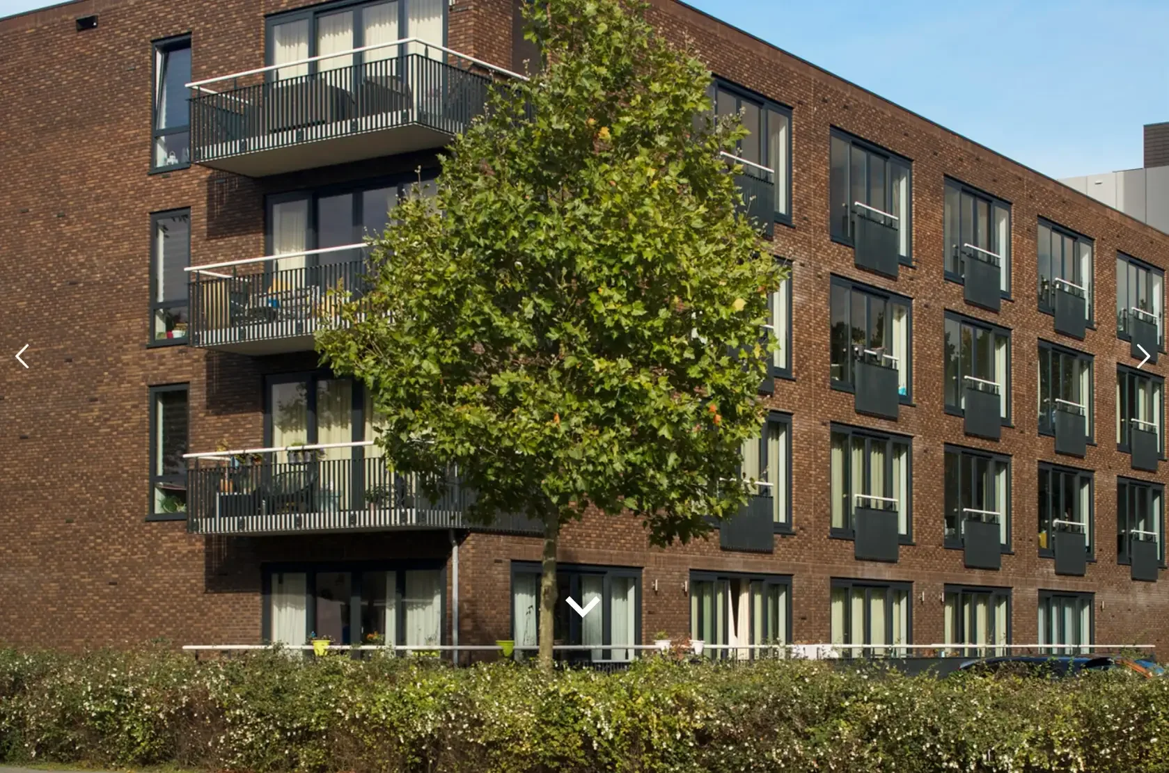 Foto van de Appartement gelegen aan de Pisanostraat in Eindhoven
