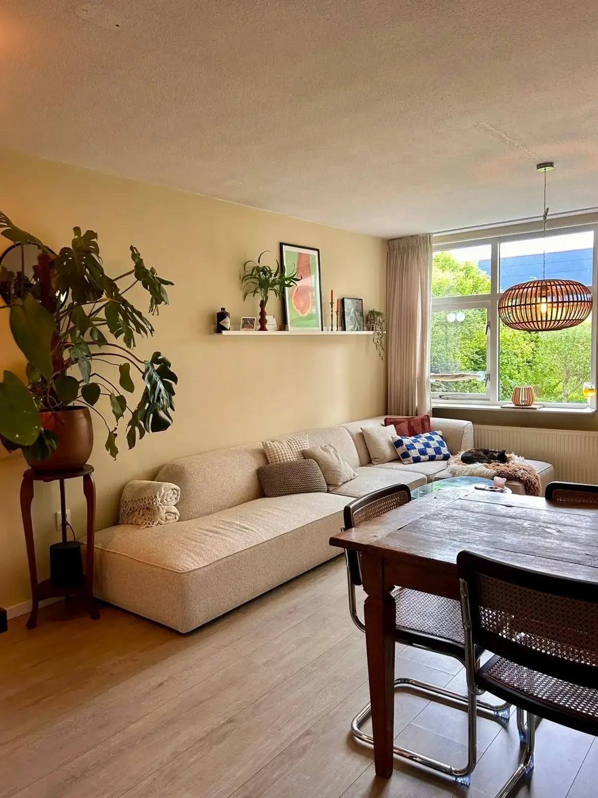 Foto van de Appartement gelegen aan de Narcisplantsoen in Haarlem