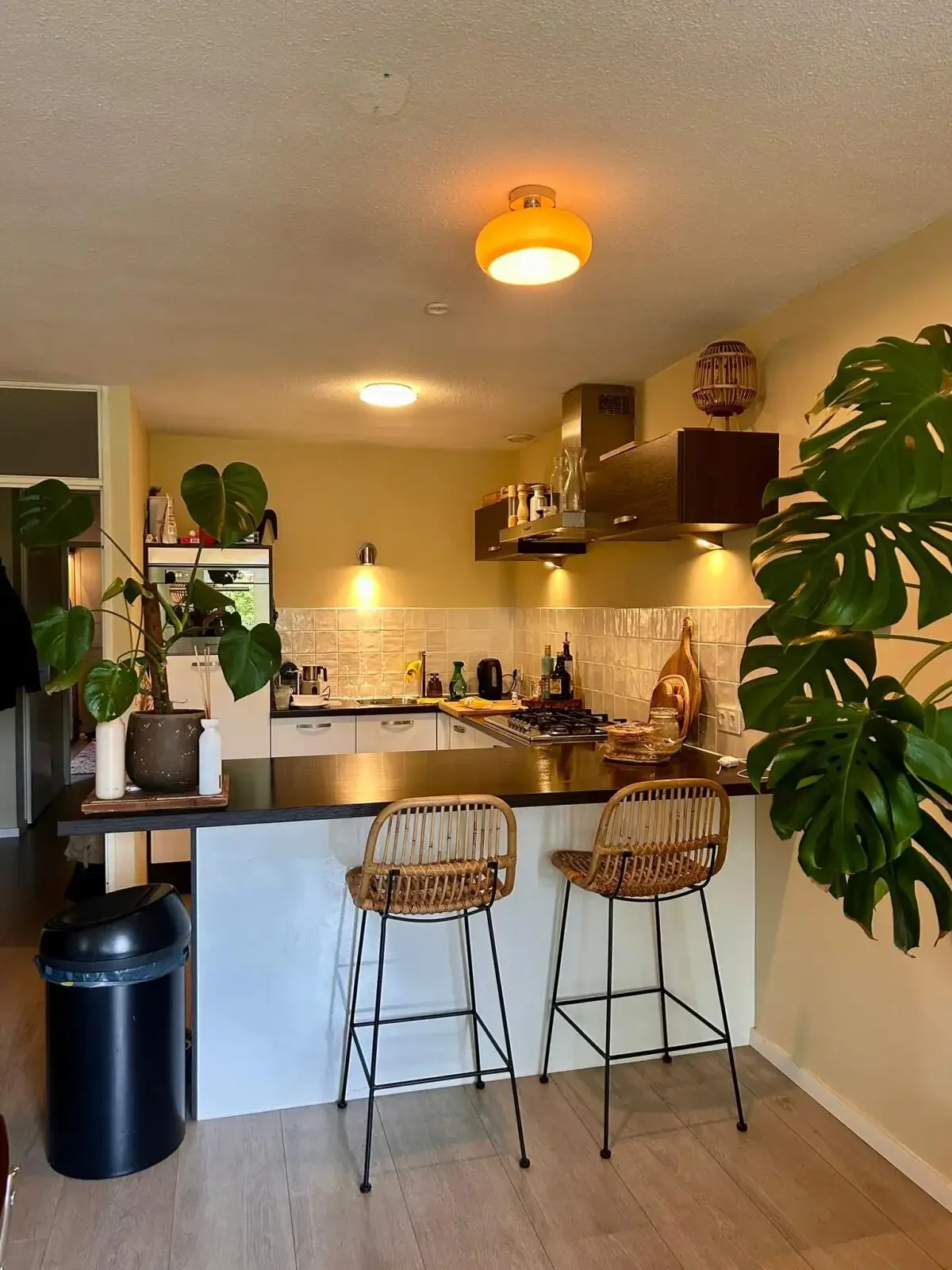 Foto van de Appartement gelegen aan de Narcisplantsoen in Haarlem