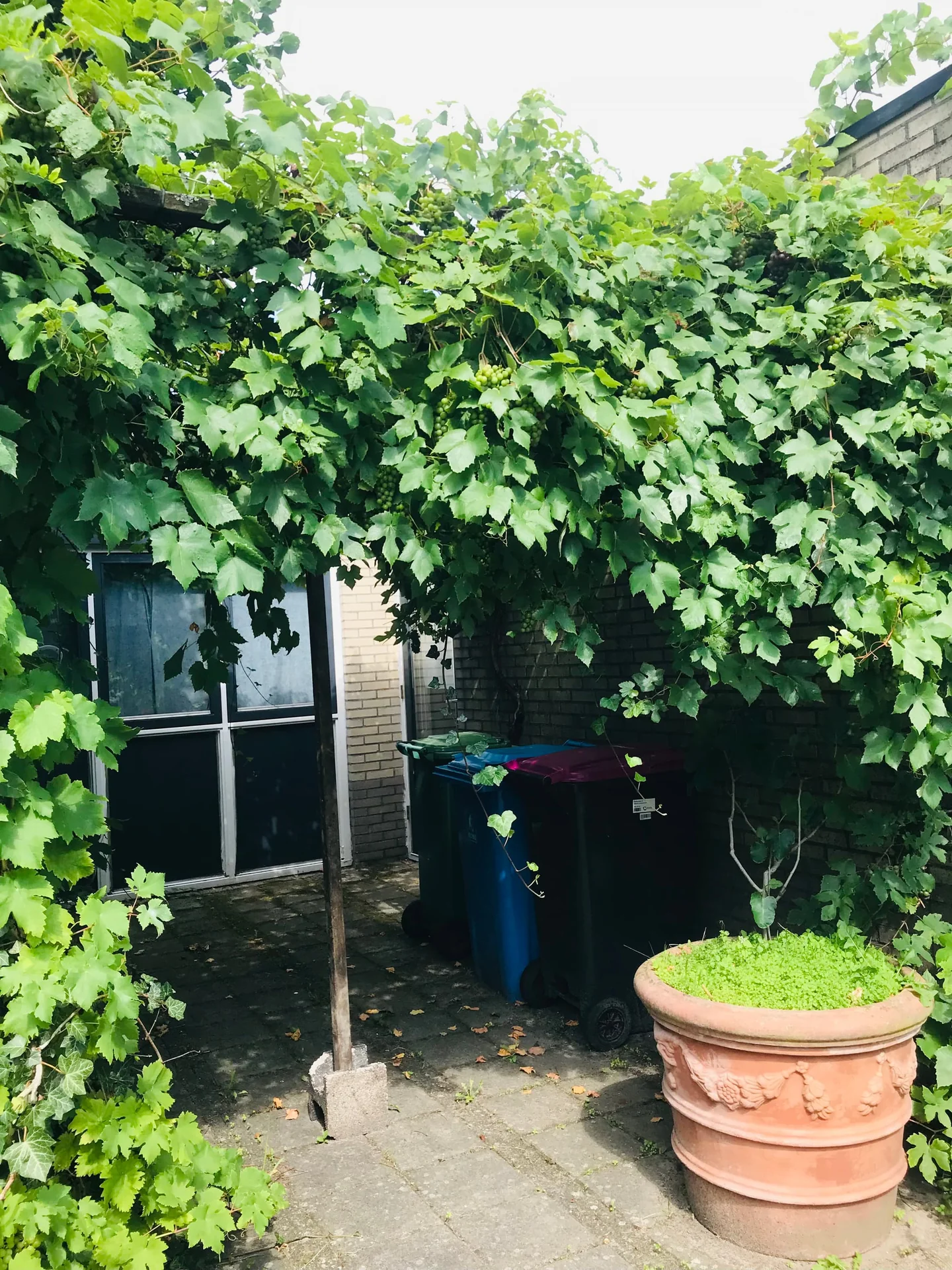 Foto van de Kamer gelegen aan de Maartensweer in Leidschendam