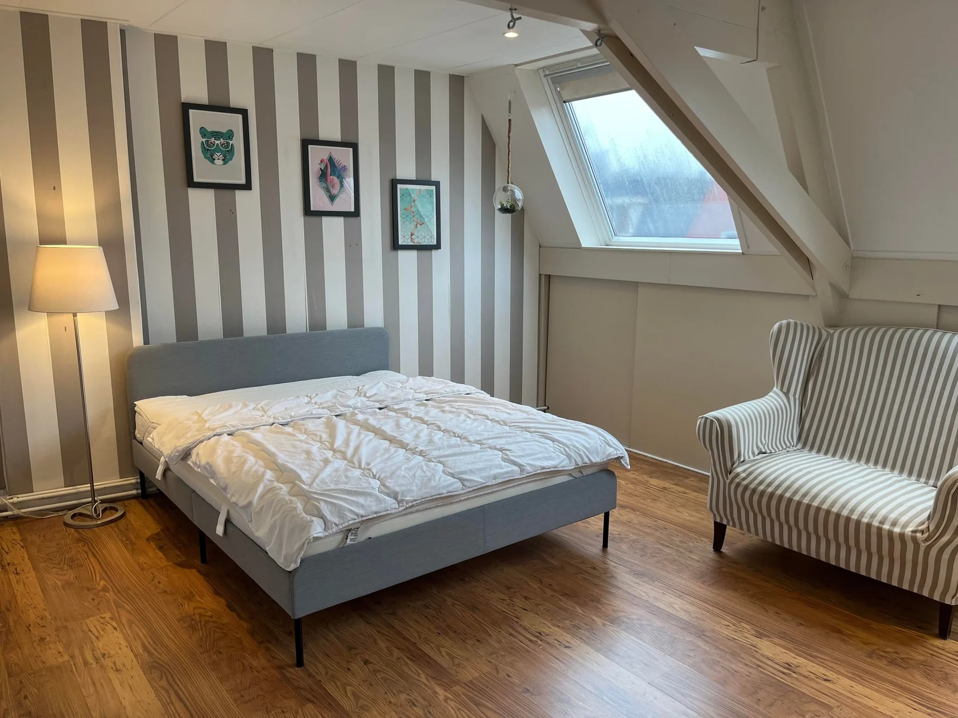 Foto van de Kamer gelegen aan de A.F. de Savornin Lohmanstraat in Zaandam