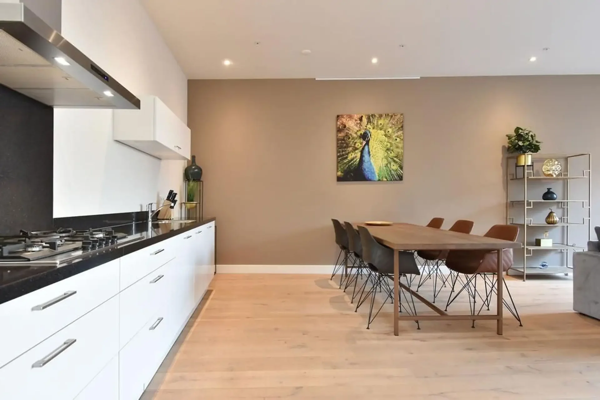 Foto van de Appartement gelegen aan de Bagijnestraat in Den Haag