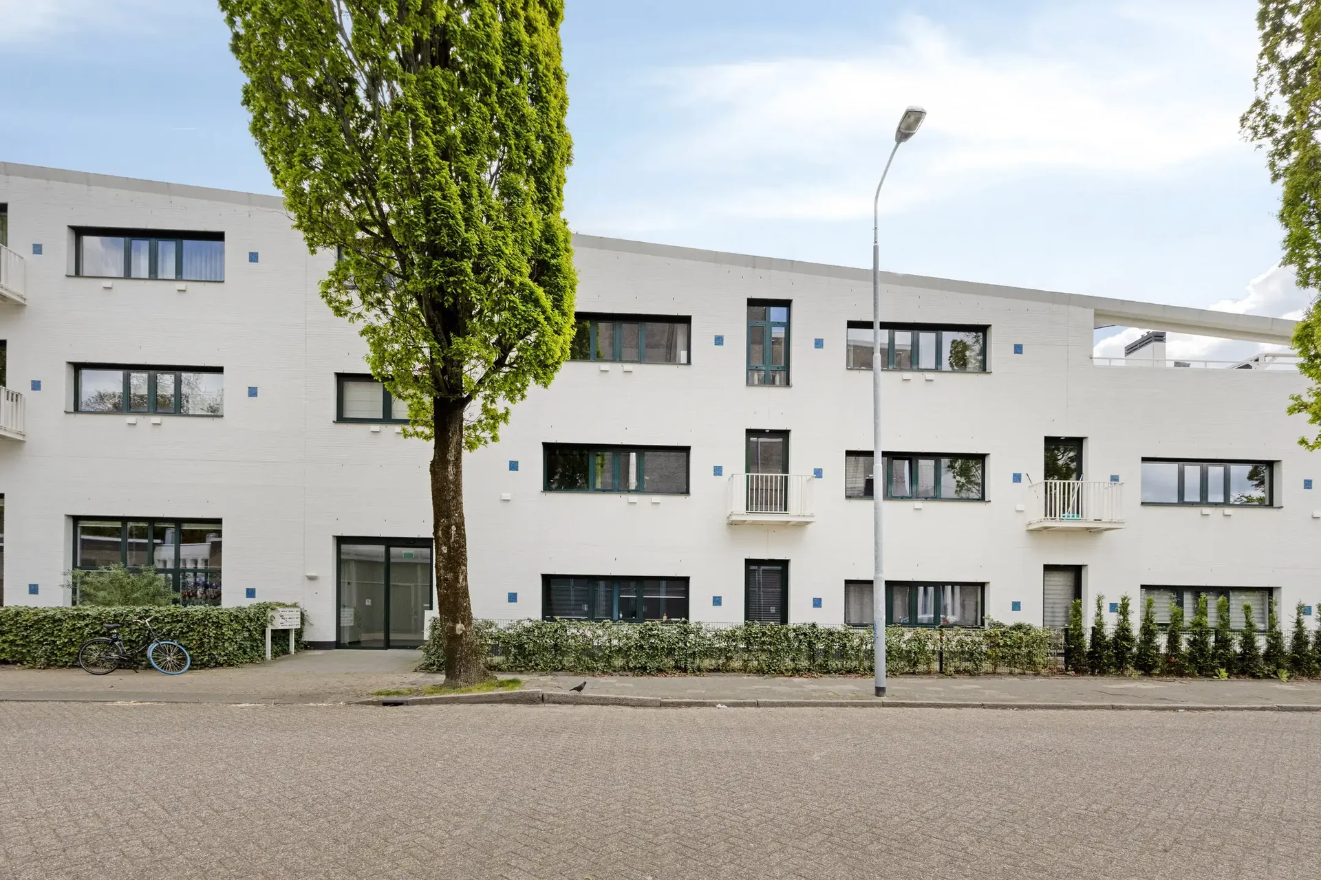 geblurde versie van de foto als achtergrond
