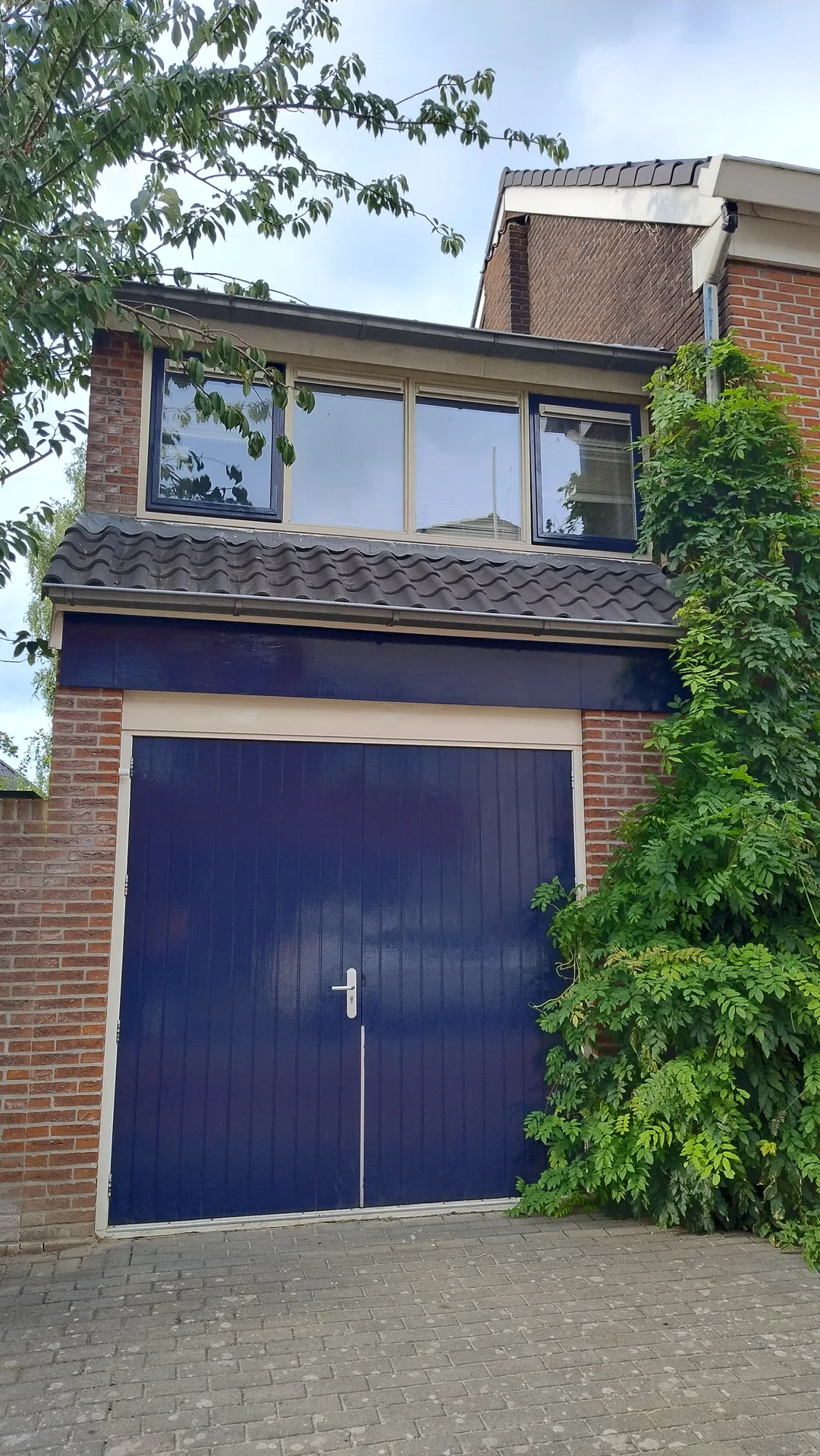 geblurde versie van de foto als achtergrond