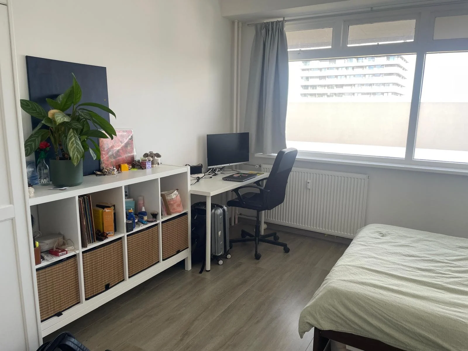 Foto van de Kamer gelegen aan de Hendrik Tollensstraat in Delft